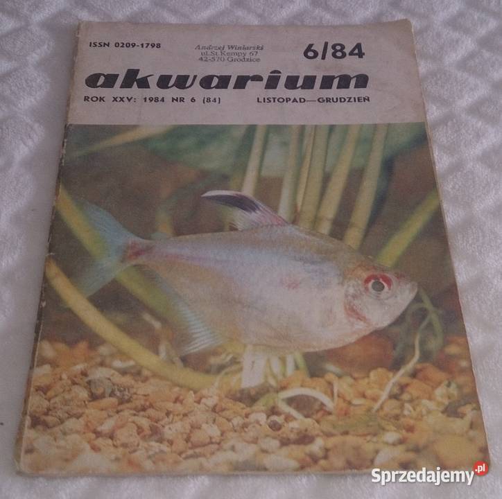 Akwarium 1984 6 84 Książka Czeladź