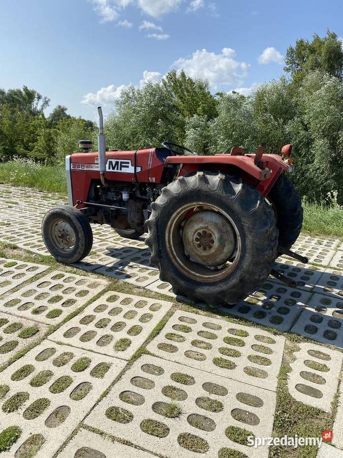 Massey Ferguson 245 3cyl 47 Kępa Chotecka