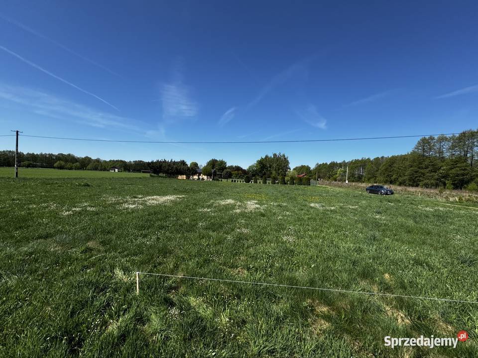 Działka budowlana 2500m Wilków Poddębicy woda Sprzedaż