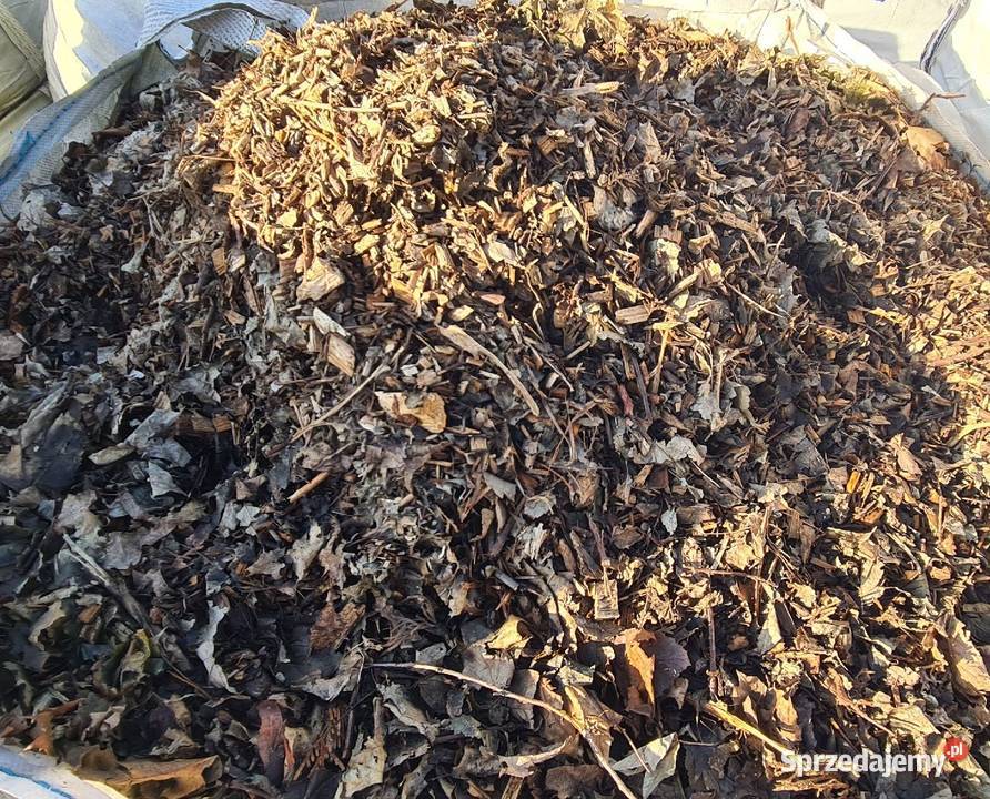 ZRĘBKA leśna biomasa na pellet Zrębek pod Zrębice