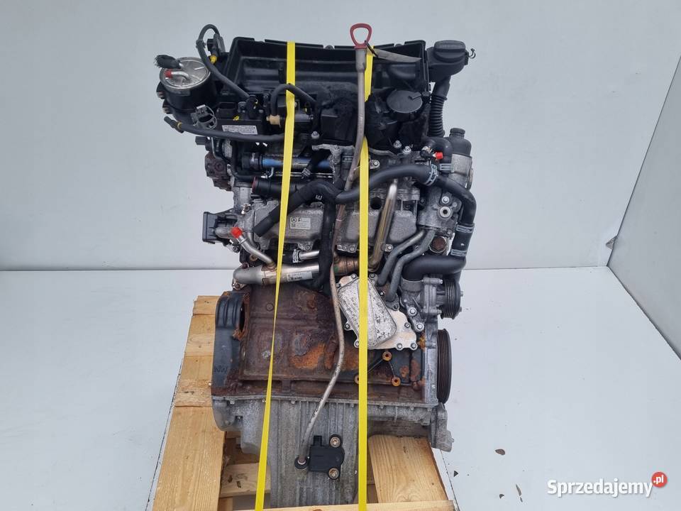 SILNIK KOMPLET Mercedes B180 W245 18 20 CDI 109 Silniki kompletne Rudka