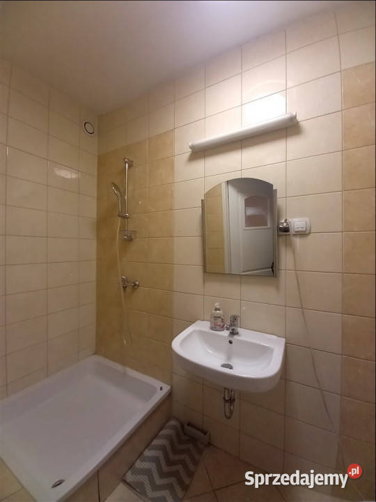 Lokal 1156m2 Wałbrzych Ilość pomieszczeń 0 sprzedam