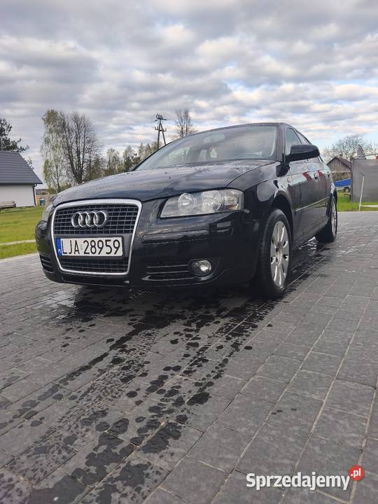Audi A3 8P 20Tdi Dobryń-Kolonia