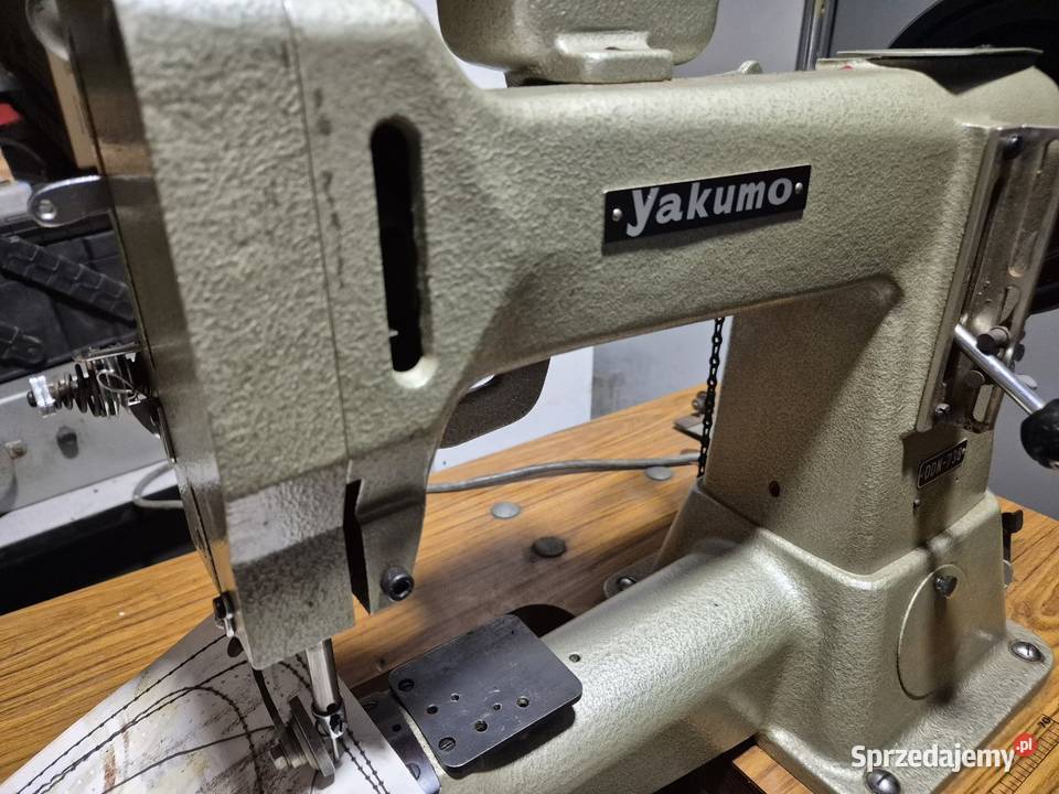 Rymarka praworamienna mazowieckie Warszawa