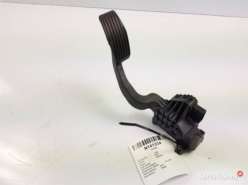 PEDAŁ PUNTO 55702020 kujawsko-pomorskie