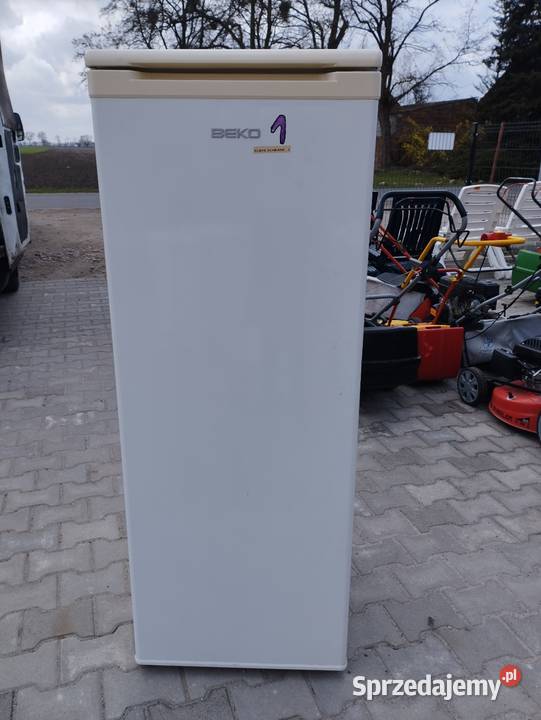 Chłodziarka BEKO wielkopolskie Szamotuły