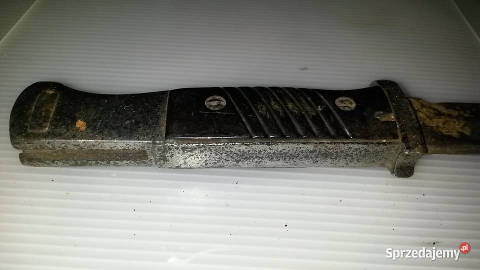 Bagnet Niemiecki Poznań sprzedam