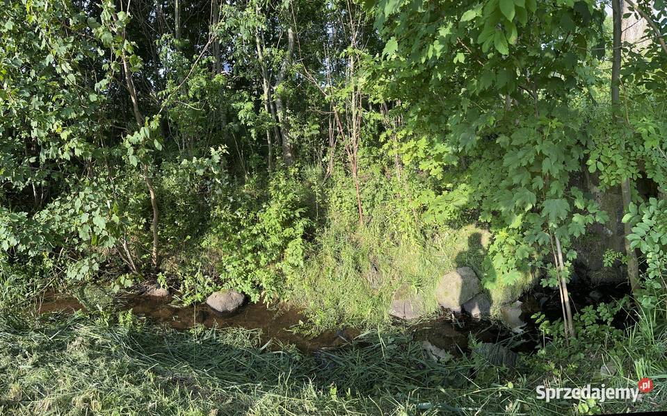 Działka z linią brzegową Sprzedaż Pomianowo