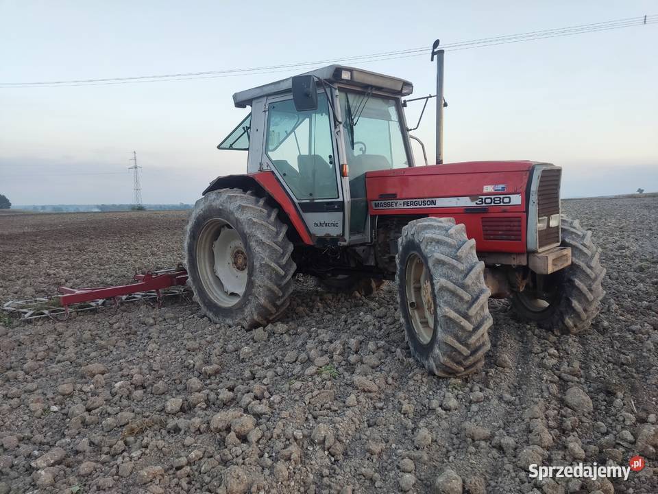 massey ferguson 3070 tur Chełm