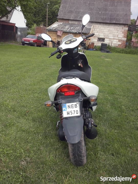 Longjia alien zipp jazzy 3KM Pasłęk