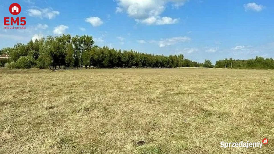 Działka do sprzedania 1425m2 Rafałówka Nieruchomości