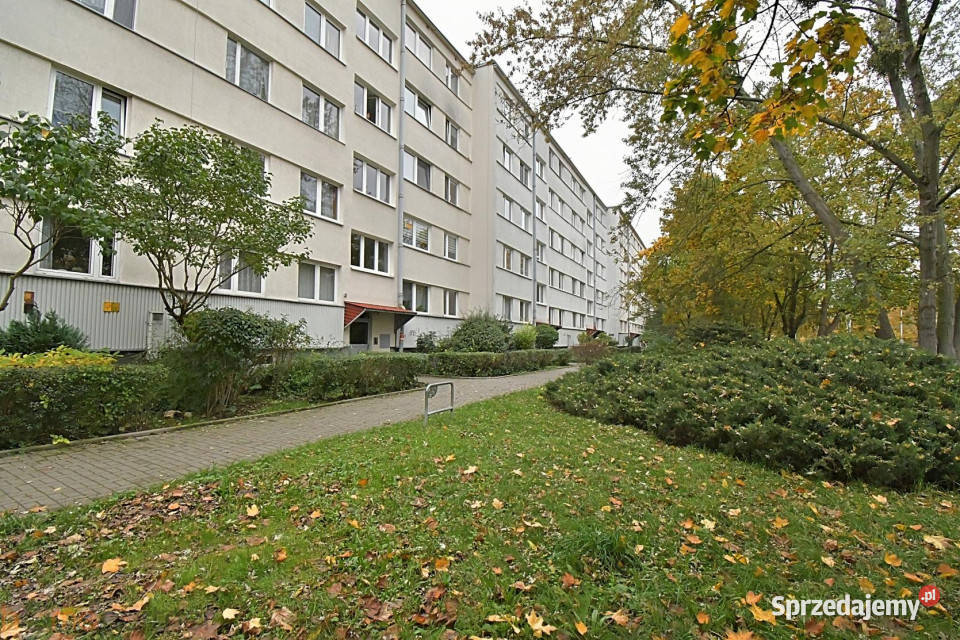 Mieszkanie Wrocław Marcellego Bacciarellego 642 sprzedam