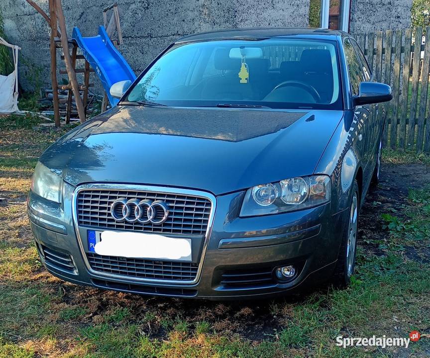 Audi A3 8P 1600cm3 Stara Rokitnia