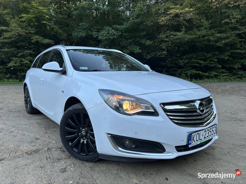Opel Insignia AUTOMAT Navi elektrochrom. lusterko wst. Strzyżów