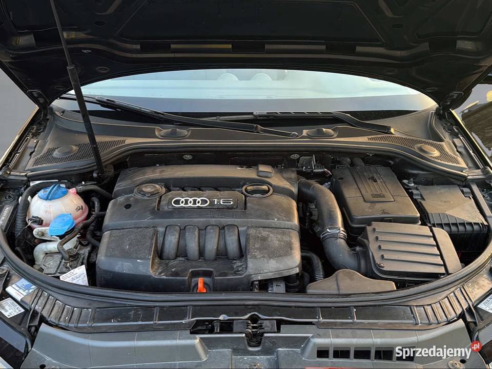 Audi A3 16 MPI Zabrze