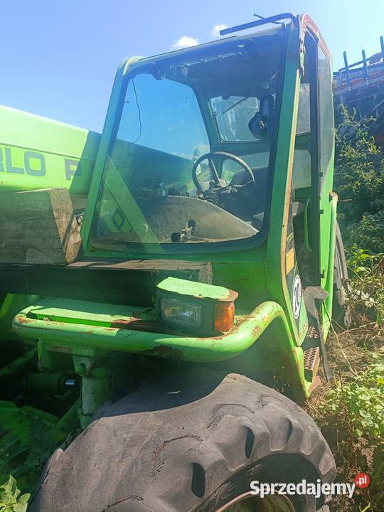 Merlo wielkopolskie sprzedam