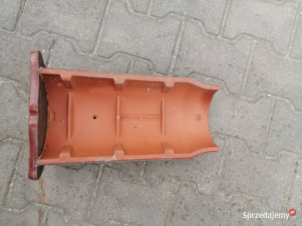 Rubin gąsior początkowy konisch muszla kasztan