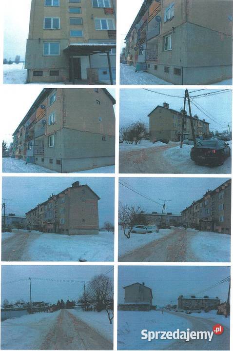12 w mieszkaniu o pow 5350 m2 Miączyn Duży sprzedam