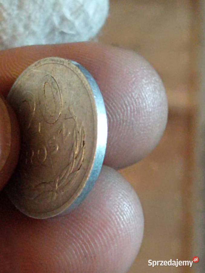 Sprzedam 20 gr 1973 r Chełm