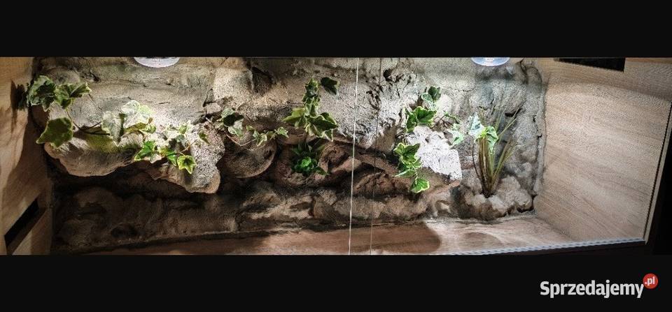 Terrarium pustynne żółwia greckiego agamy lubelskie Lublin sprzedam
