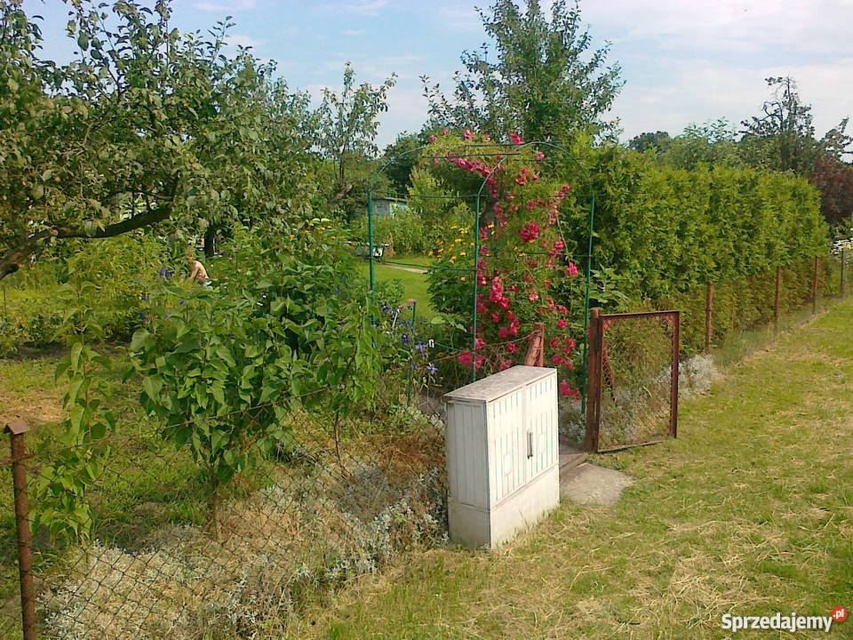Działka rekreacyjna ogródek działkowy Wrocław dolnośląskie Wrocław