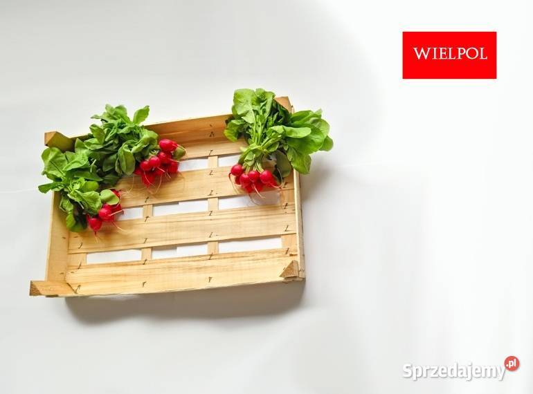 Opakowania do rzodkiewki Skrzynki do rzodkiewki Skrzynki i opakowania Wielichowo sprzedam