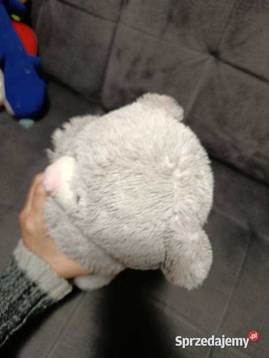 miś z serduszkiem wielkopolskie Poznań