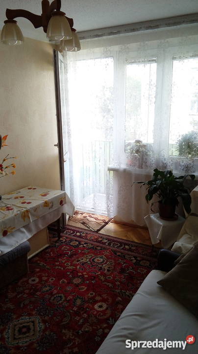 sprzedam mieszkanie Płońsk 455 m2 664374704 Mieszkania sprzedam