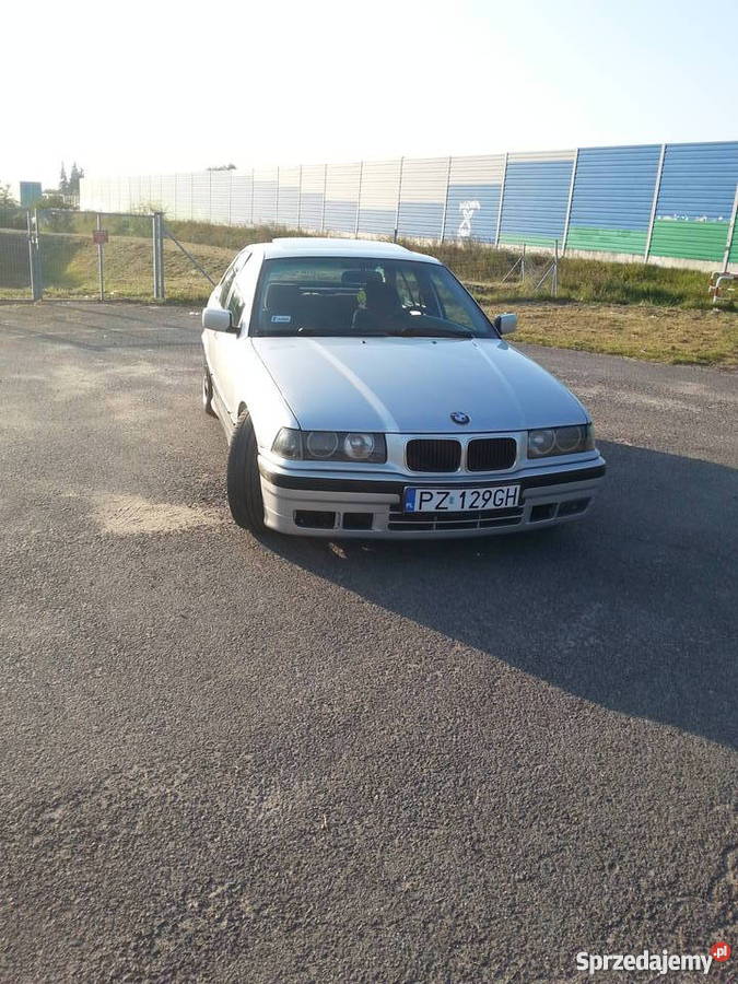 BMW e36 2.0 Sekwencja Września Sprzedajemy.pl