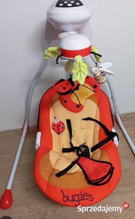 Bujaczek Caretero Bugies Inowrocław