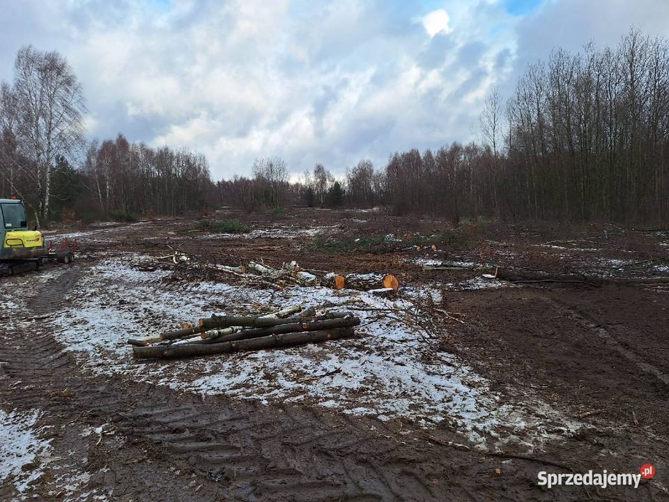 Wycinka drzew Czyszczenie działek Mulczowanie Siemianowice Śląskie