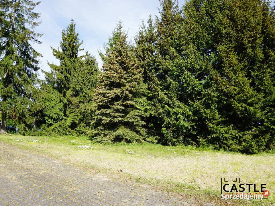 działka wale Szkarpawy I Mierzeja Wiślana I do Mikoszewo