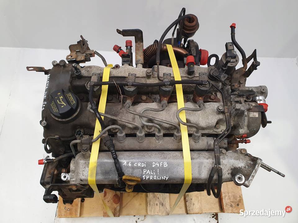 SILNIK Kia Ceed Ceed Venga 16 CRDI 115 D4FB Silniki kompletne