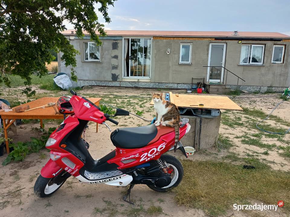 Peugeot speedfight 2 uszkodzony Motoryzacja łódzkie Kutno