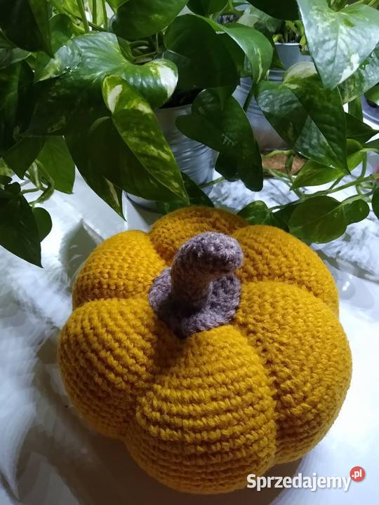 Dynia Pumpkin Rękodzieło Gdańsk