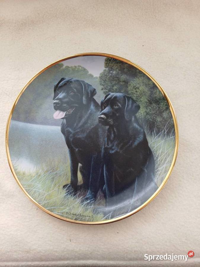 Talerz kolekcjonerski Nigel Hemming edycja pomorskie Gdynia