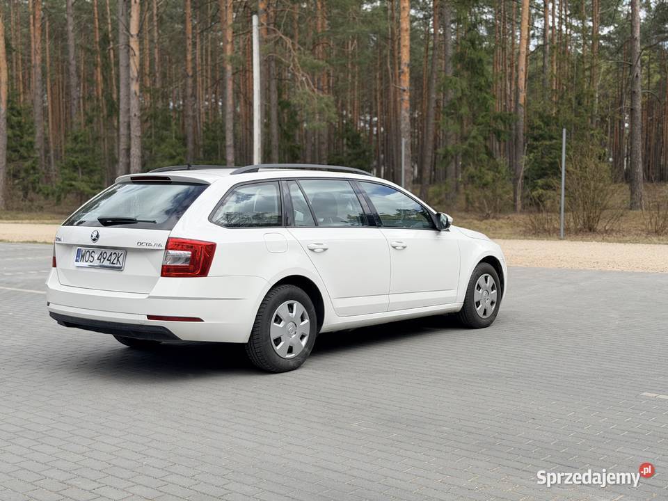 Skoda Octavia 2019r kombi benzyna aluminiowe felgi