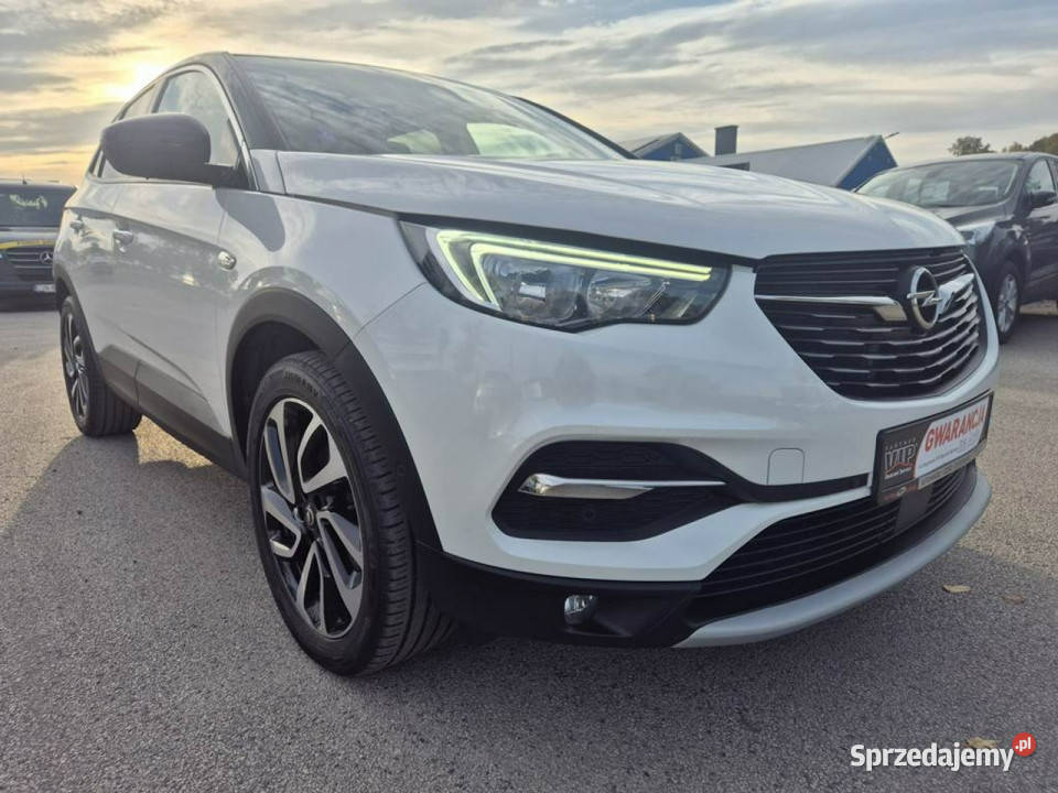 Opel Grandland X 12Turbo 130 Biała Perła Rok produkcji 2018