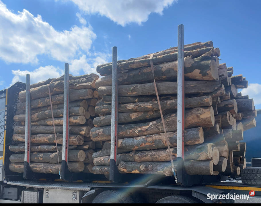 Buk opałowy z transportem sprzedam