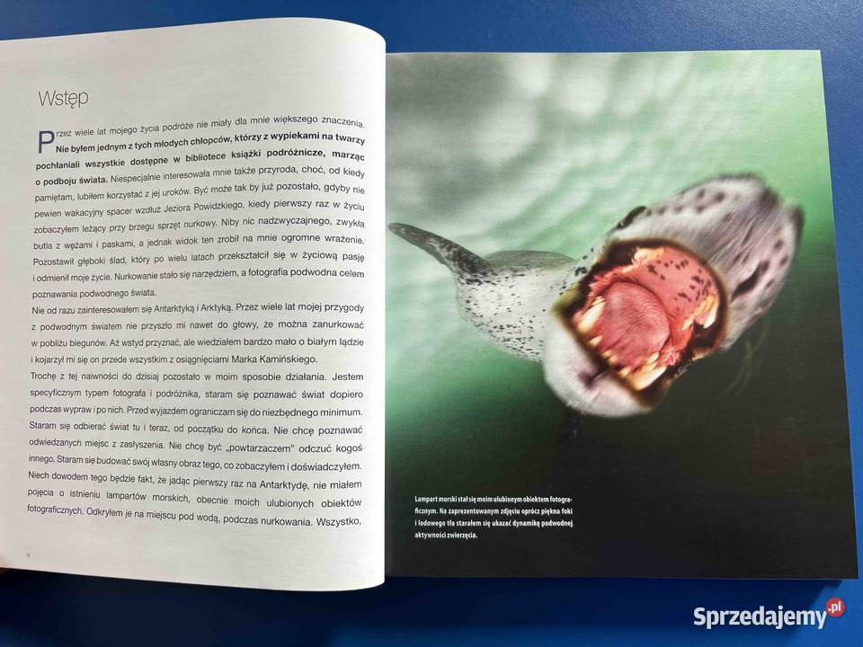 Książka Nurkowa Antarktyka Podwodne Zauroczenie sprzedam