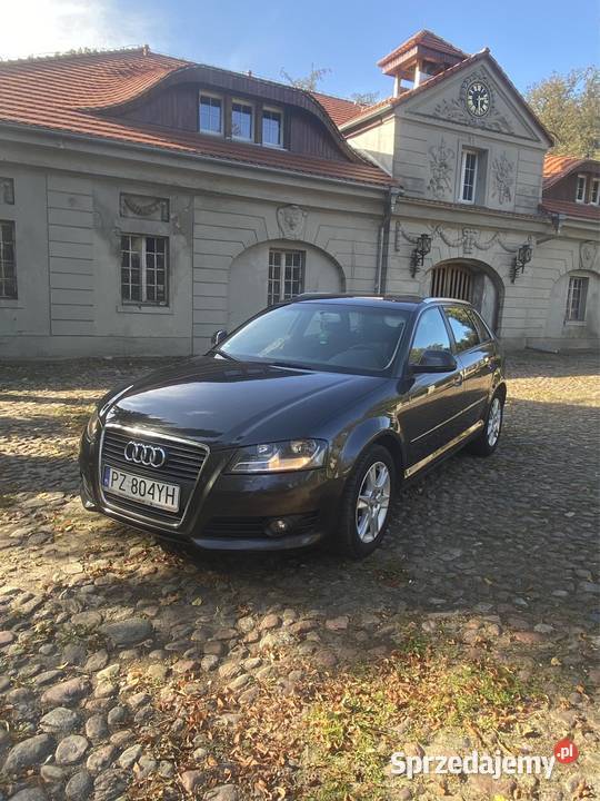 Audi A3 1.9Tdi stan BDB 2008/2009