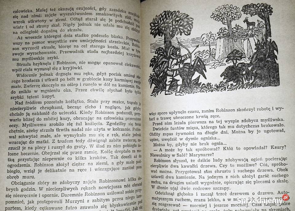 Robinsona Kruzoe Daniel Defoe lubelskie Chełm