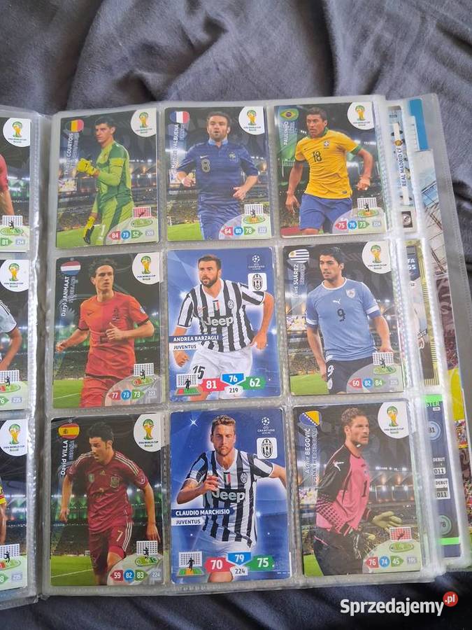 Wielka kolekcja kart Panini Adrenalyn XL Poznań