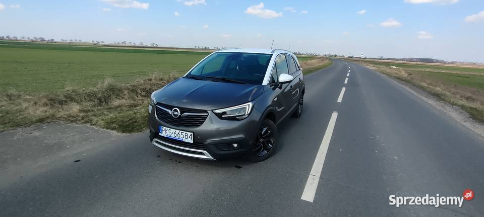 Opel Crosland X 2020 Kościan