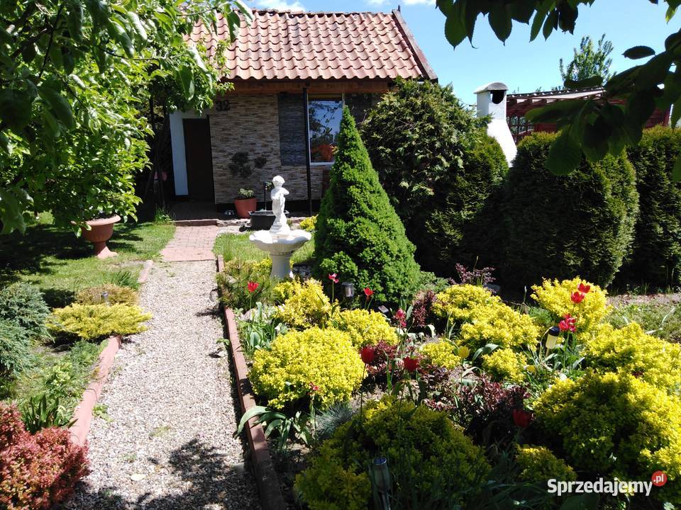 SPRZEDAM DZIAŁKĘ OGRODOWĄ ROD OLECKO