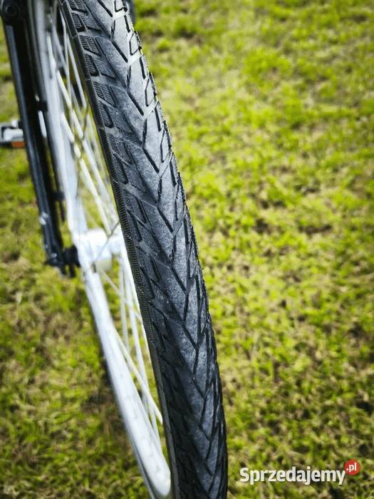 Koga Miyata Prominence Chełmno