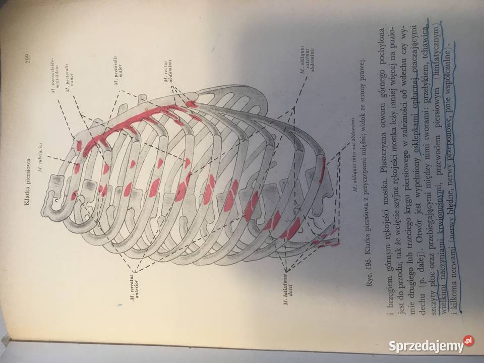 7 tomów Anatomii człowiekaunikalne wydanie Kraków sprzedam