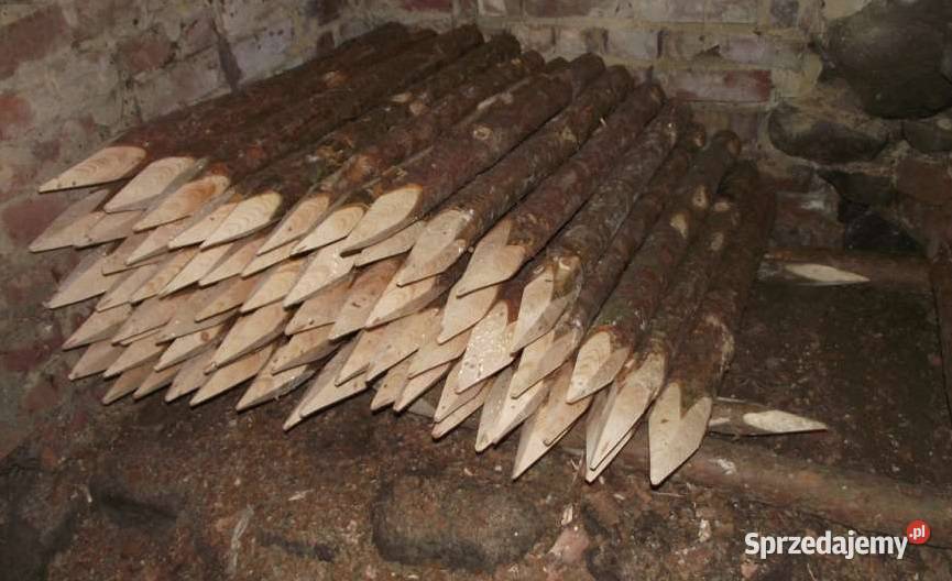 Faszyna leśna fi 20 Paliki sosnowe zachodniopomorskie Krąpiel