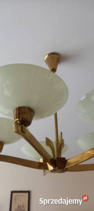 Mosiężny pięcioramienny żyrandol z kloszami w Skierniewice