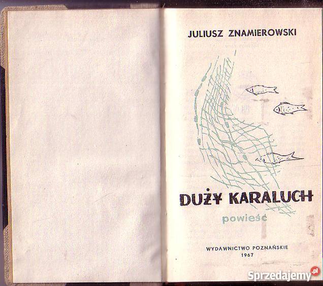 9087 DUŻY KARALUCH JULIUSZ ZNAMIEROWSKI Czyrna